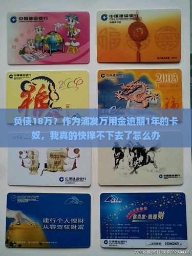 负债18万？作为浦发万用金逾期1年的卡奴，我真的快撑不下去了怎么办