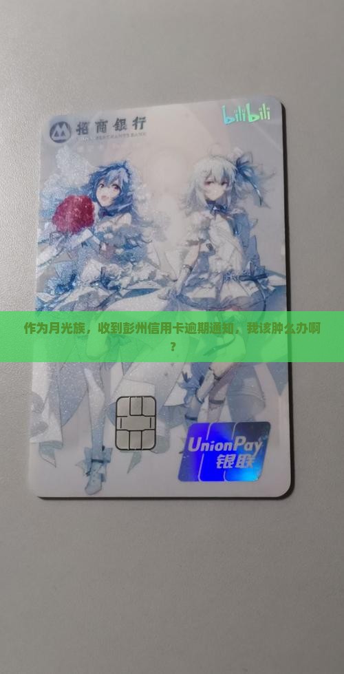 作为月光族，收到彭州信用卡逾期通知，我该肿么办啊？