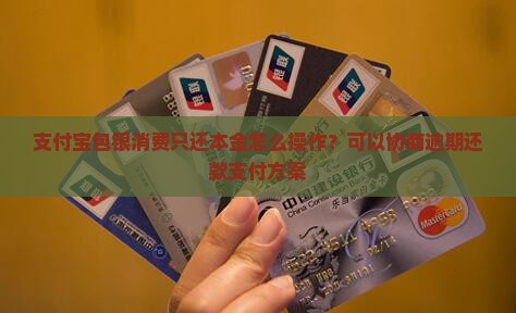 支付宝包银消费只还本金怎么操作？可以协商逾期还款支付方案