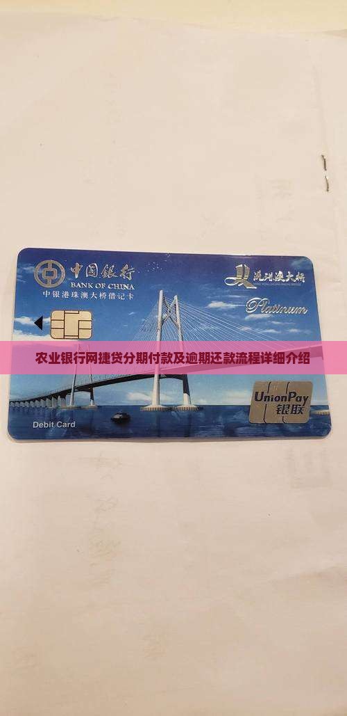 农业银行网捷贷分期付款及逾期还款流程详细介绍