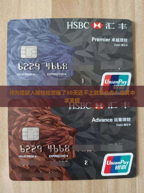 作为借款人被拍拍贷催了30天还不上款怎么办？急哭中求支招
