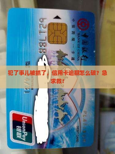 犯了事儿被抓了，信用卡逾期怎么破？急求救！