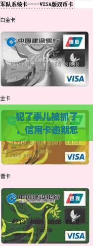 犯了事儿被抓了，信用卡逾期怎么破？急求救！
