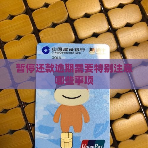 暂停还款逾期需要特别注意哪些事项