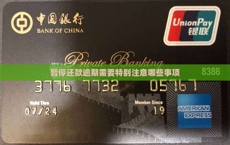 暂停还款逾期需要特别注意哪些事项