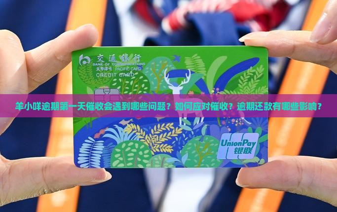 羊小咩逾期第一天催收会遇到哪些问题？如何应对催收？逾期还款有哪些影响？