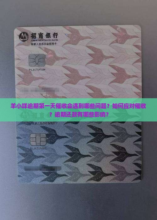 羊小咩逾期第一天催收会遇到哪些问题？如何应对催收？逾期还款有哪些影响？