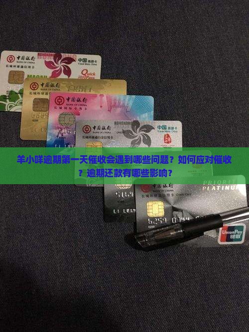 羊小咩逾期第一天催收会遇到哪些问题？如何应对催收？逾期还款有哪些影响？