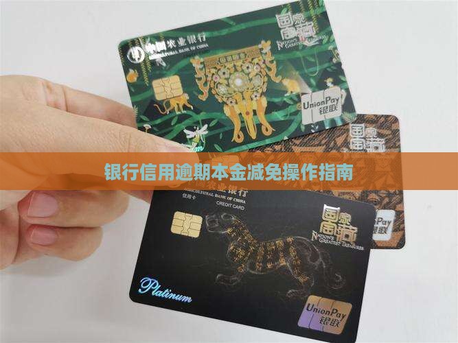 银行信用逾期本金减免操作指南