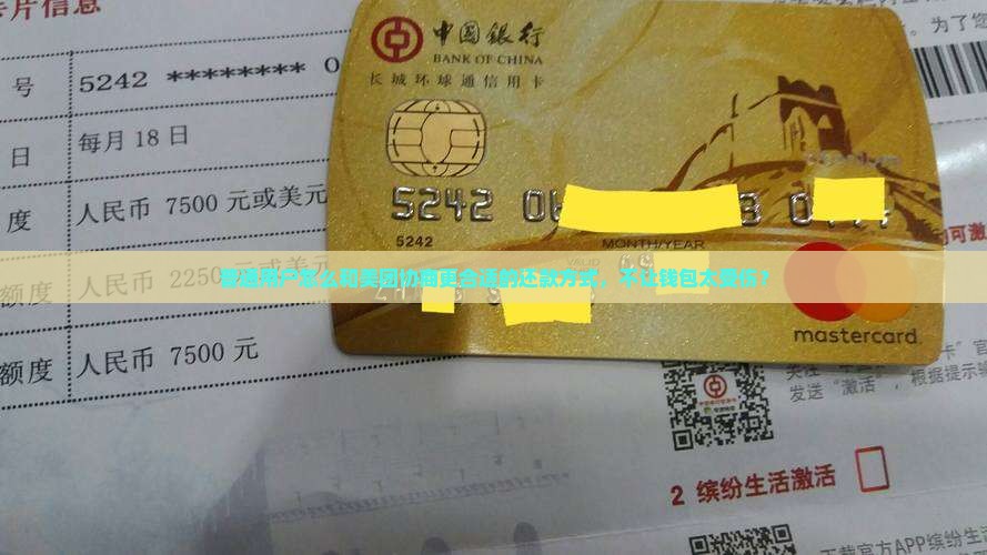 普通用户怎么和美团协商更合适的还款方式,不让钱包太受伤? 普通用户怎么和美团协商更合适的还款方式,不让钱包太受伤?