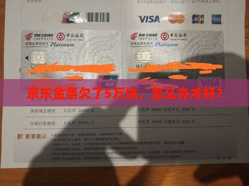 京东金条欠了5万块，怎么办才好？