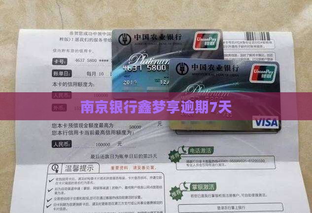 南京银行鑫梦享逾期7天