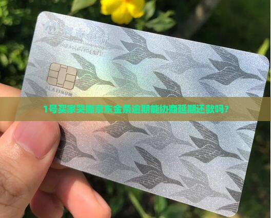 1号买家哭撕京东金条逾期能协商延期还款吗？