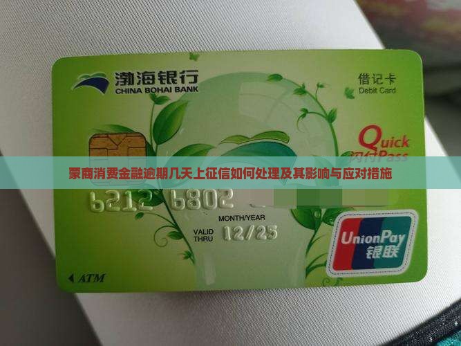 蒙商消费金融逾期几天上征信如何处理及其影响与应对措施