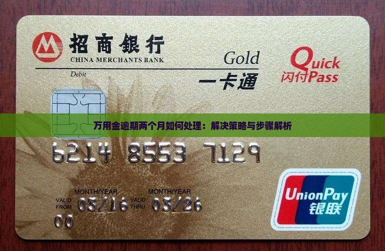 万用金逾期两个月如何处理：解决策略与步骤解析