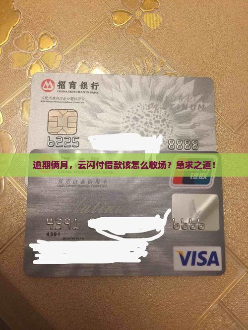逾期俩月，云闪付借款该怎么收场？急求之道！