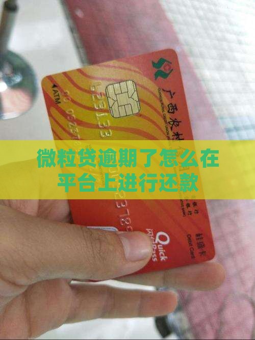 微粒贷逾期了怎么在平台上进行还款