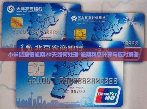 小米随星借逾期20天如何处理-逾期利息计算与应对策略