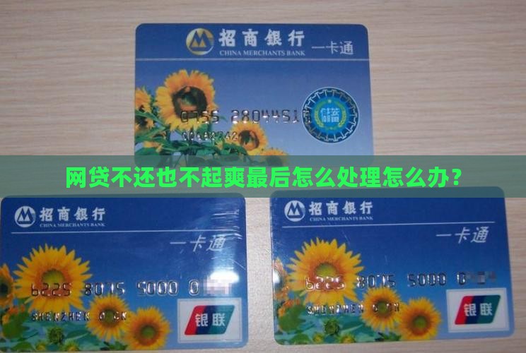 网贷不还也不起爽最后怎么处理怎么办？