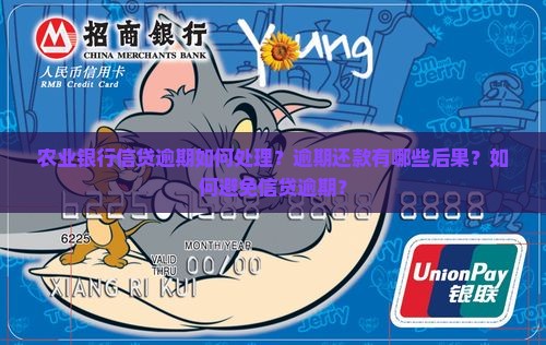 农业银行信贷逾期如何处理？逾期还款有哪些后果？如何避免信贷逾期？