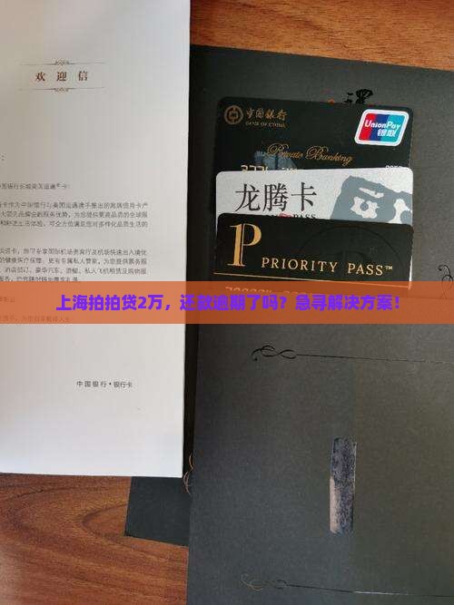 上海拍拍贷2万，还款逾期了吗？急寻解决方案！