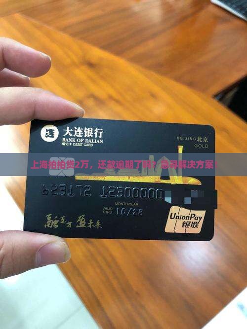 上海拍拍贷2万，还款逾期了吗？急寻解决方案！