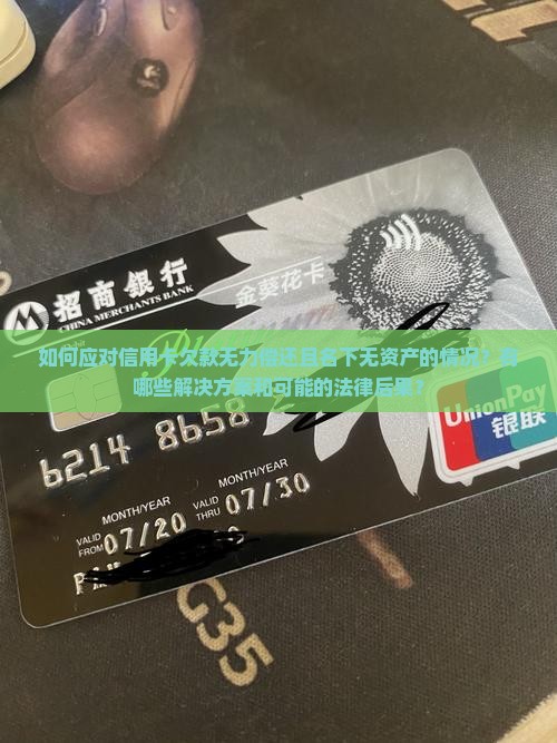 如何应对信用卡欠款无力偿还且名下无资产的情况？有哪些解决方案和可能的法律后果？