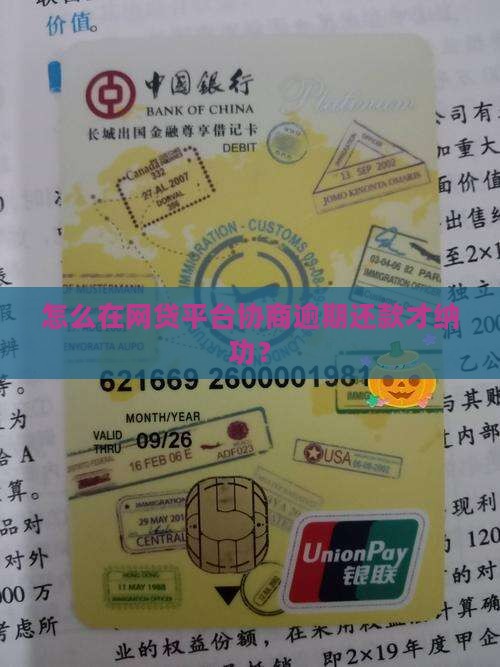 怎么在网贷平台协商逾期还款才纳功？