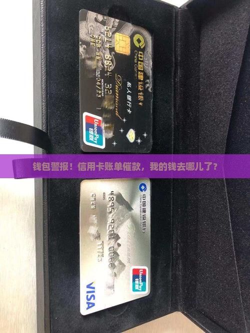 钱包警报！信用卡账单催款，我的钱去哪儿了？