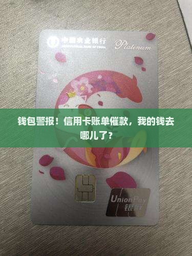 钱包警报！信用卡账单催款，我的钱去哪儿了？