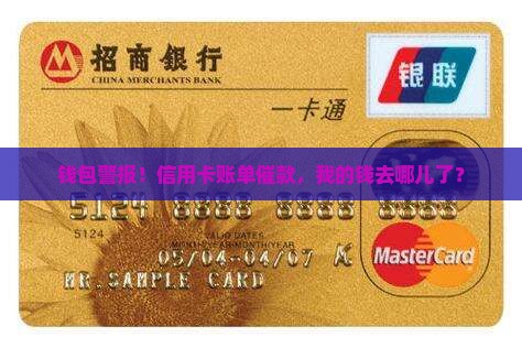 钱包警报！信用卡账单催款，我的钱去哪儿了？