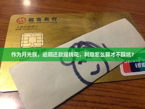 作为月光族，逾期还款摇钱花，利息怎么算才不踩坑？