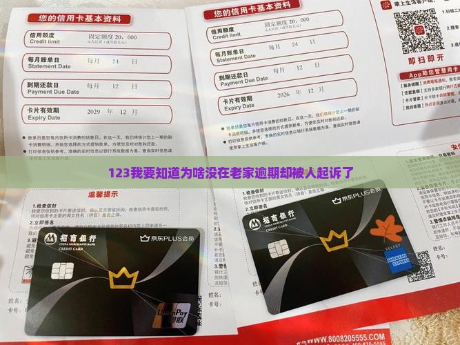 123我要知道为啥没在老家逾期却被人起诉了