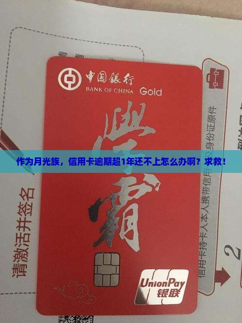 作为月光族，信用卡逾期超1年还不上怎么办啊？求救！
