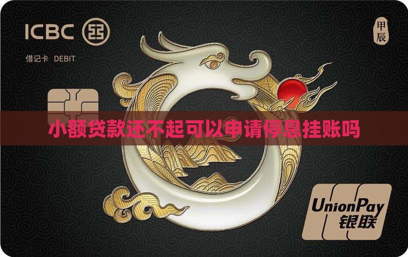小额贷款还不起可以申请停息挂账吗