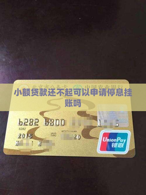 小额贷款还不起可以申请停息挂账吗