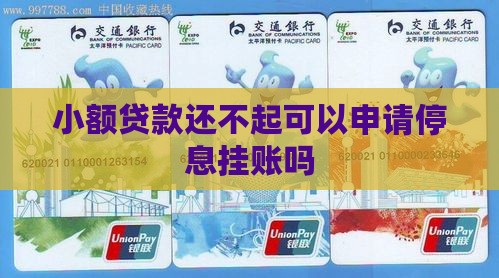 小额贷款还不起可以申请停息挂账吗