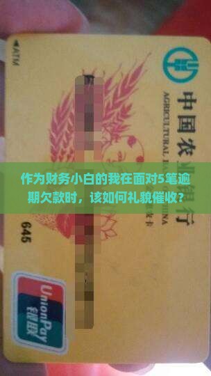作为财务小白的我在面对5笔逾期欠款时，该如何礼貌催收？