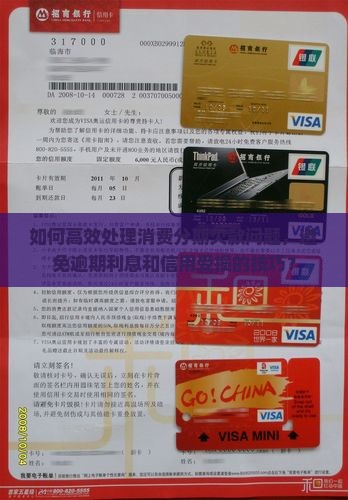 如何高效处理消费分期欠款问题，避免逾期利息和信用受损的技巧？