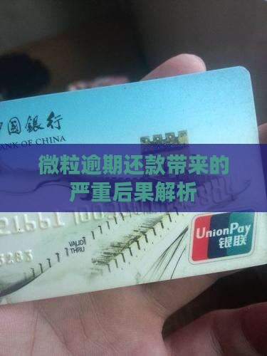 微粒逾期还款带来的严重后果解析