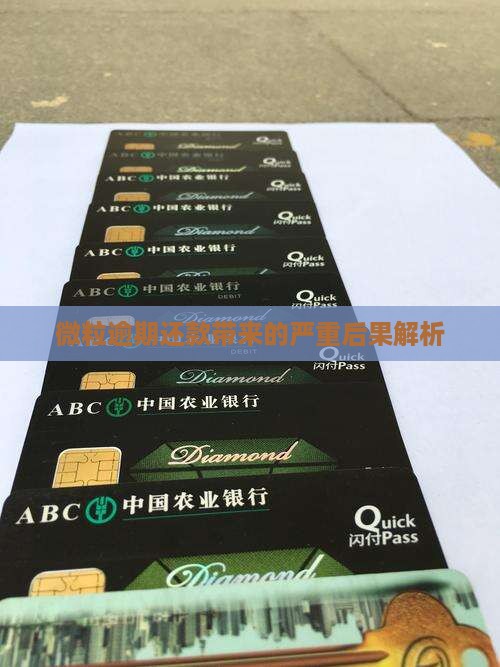 微粒逾期还款带来的严重后果解析