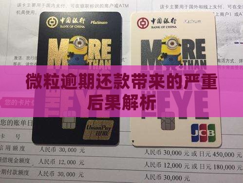 微粒逾期还款带来的严重后果解析