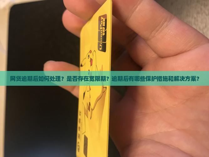 网贷逾期后如何处理？是否存在宽限期？逾期后有哪些保护措施和解决方案？