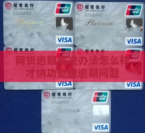 网贷逾期解决办法怎么样才纳功处理逾期问题