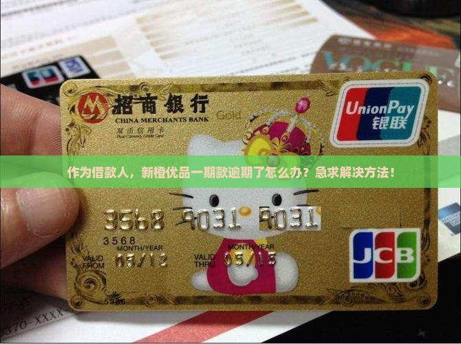 作为借款人，新橙优品一期款逾期了怎么办？急求解决方法！