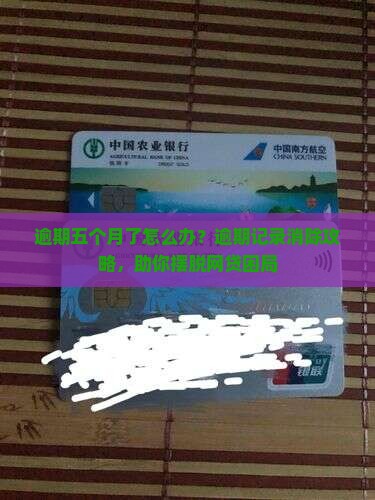 逾期五个月了怎么办？逾期记录消除攻略，助你摆脱网贷困局