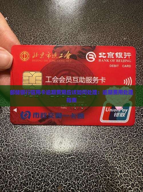 邮储银行信用卡逾期费用应该如何处理：逾期费用处理指南