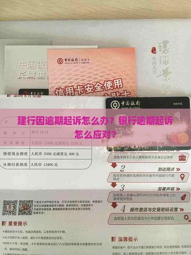 建行因逾期起诉怎么办？银行逾期起诉怎么应对？