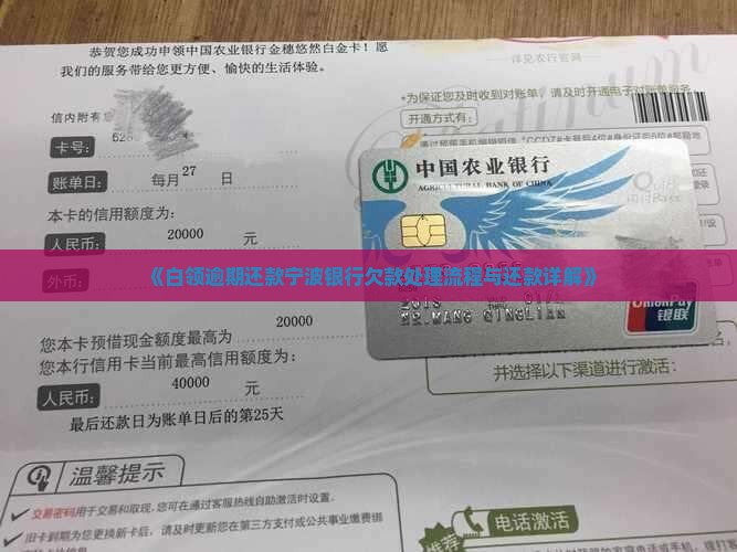 《白领逾期还款宁波银行欠款处理流程与还款详解》