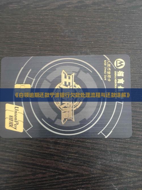 《白领逾期还款宁波银行欠款处理流程与还款详解》